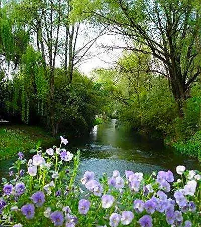 L'ultimo Mulino فندق 4*